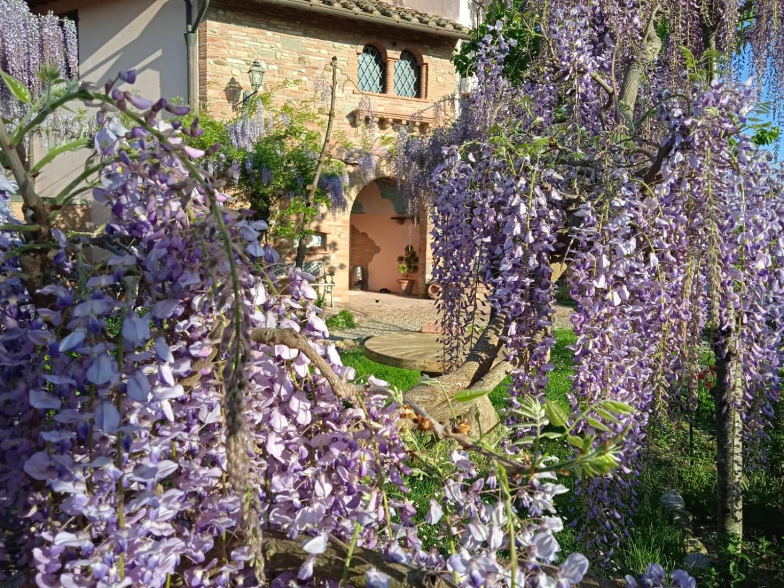 B&B Il Poggetto Montespertoli Dış mekan fotoğraf