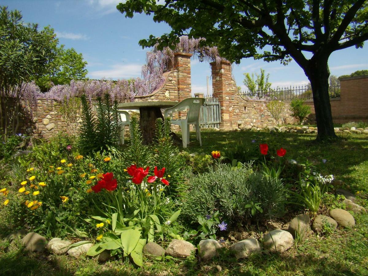 B&B Il Poggetto Montespertoli Dış mekan fotoğraf