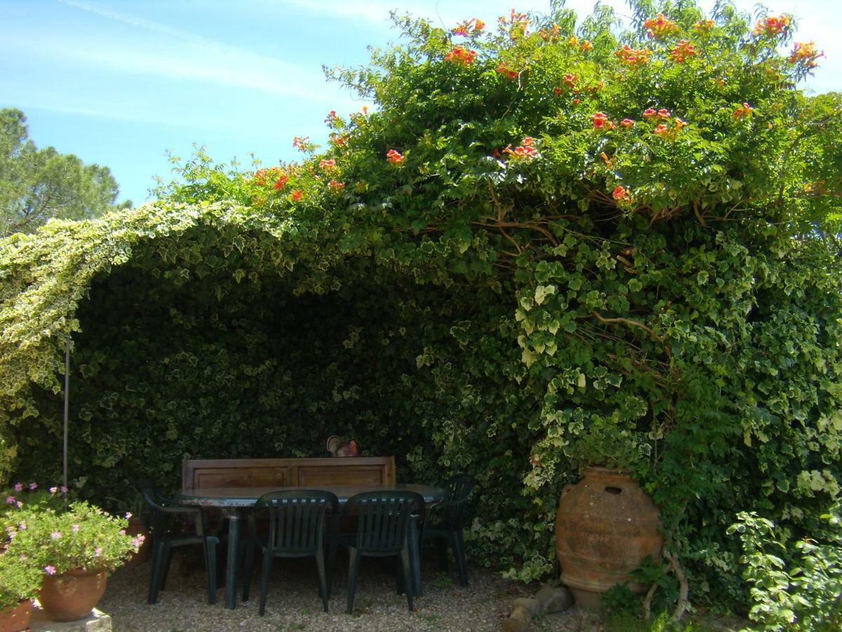 B&B Il Poggetto Montespertoli Dış mekan fotoğraf