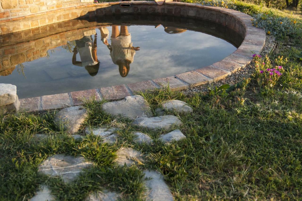 B&B Il Poggetto Montespertoli Dış mekan fotoğraf